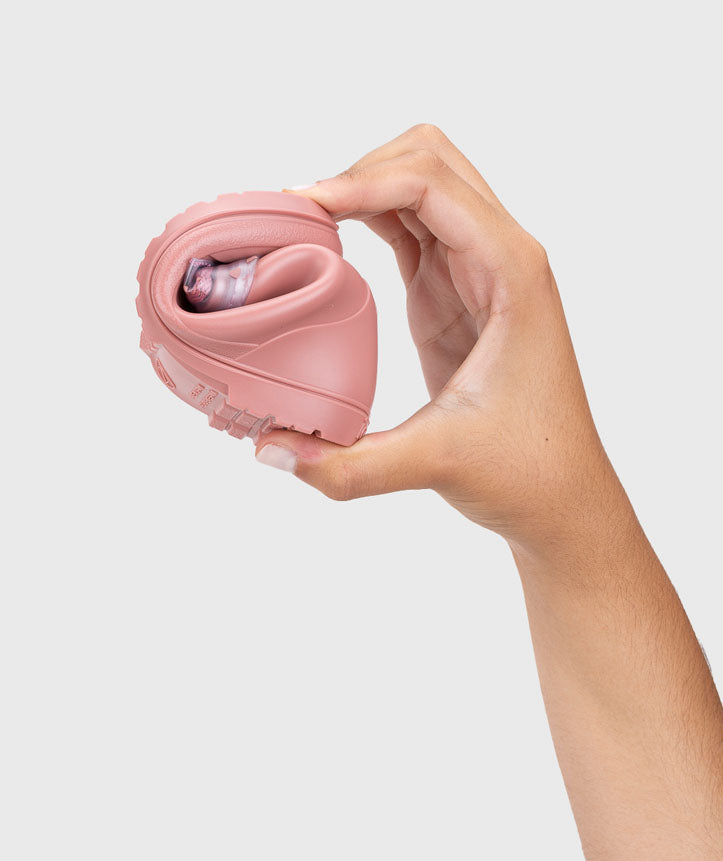 Igor - MENDI Gato Rosa